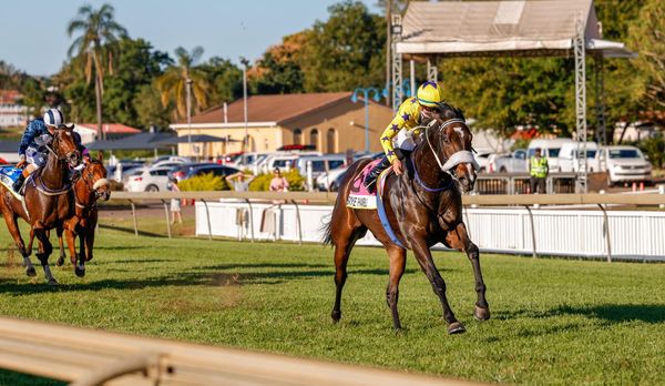 Hollywood Syndicate tweet media