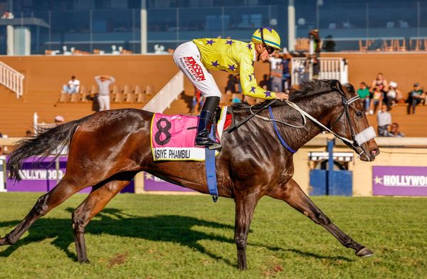 Hollywood Syndicate tweet media