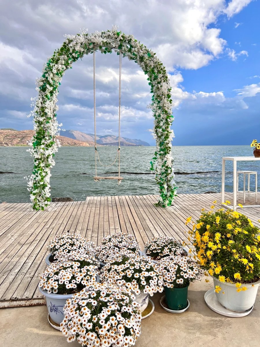 011Flopy's tweet image. Flowers always make people better, happier and more helpful. -