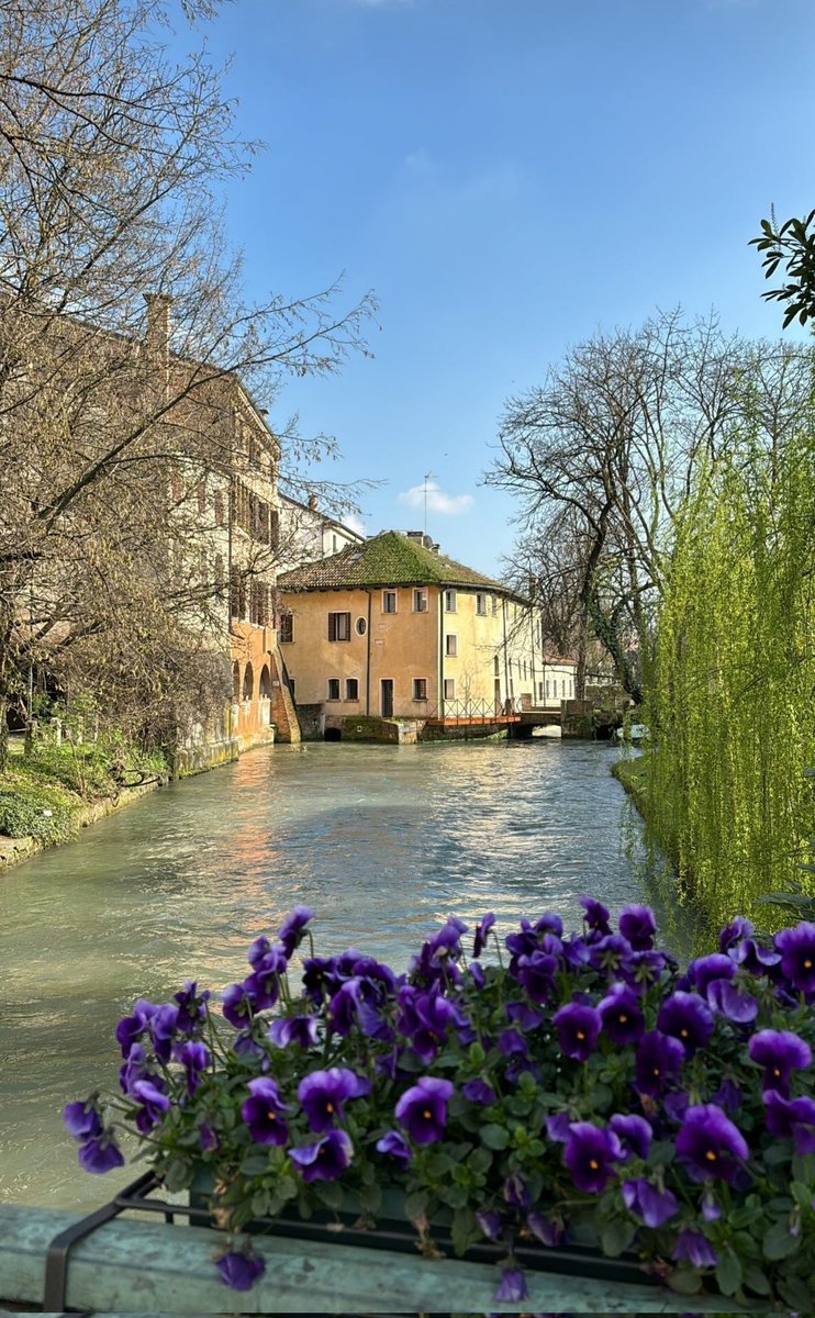 La mia bella Treviso 🤩🤩🤩