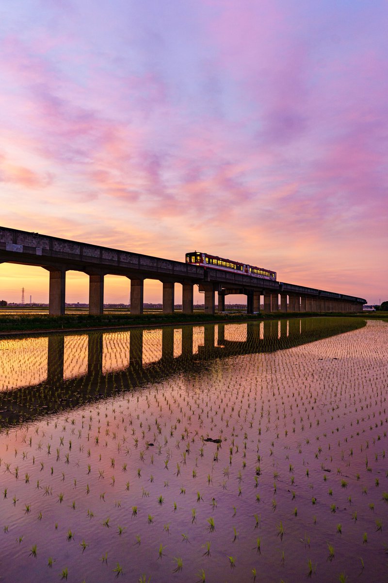 春の夕暮れを駆け抜ける列車