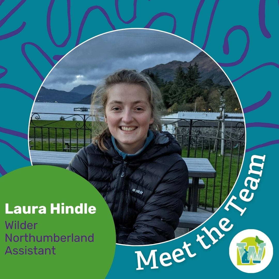 Next up we've got Laura. Laura works with Graham on Wilder Northumberland and Wilder Druridge. She supports Graham in working with communities and landowners across the network. She runs the social media for the project as well as keeping everything ticking along! #NatureRecovery