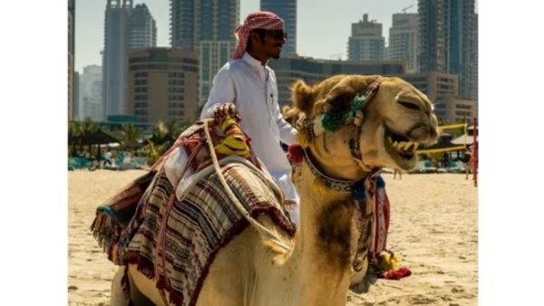 Planning your trip from India to Dubai? 🇮🇳✈️🇦🇪 Check out our essential guide covering flight prices to accommodation and make your journey seamless! #TravelTips #DubaiBound