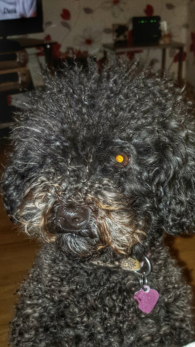 @OfficialFiley tweet media