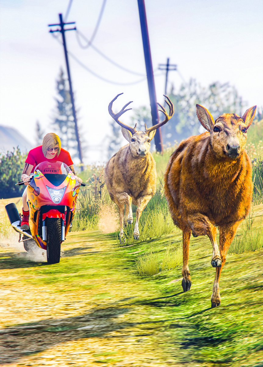 playing tag
#GTA5 
#GTAOnline 
#B1GMATIC 
#SnapArtCrew 
@RockstarGames