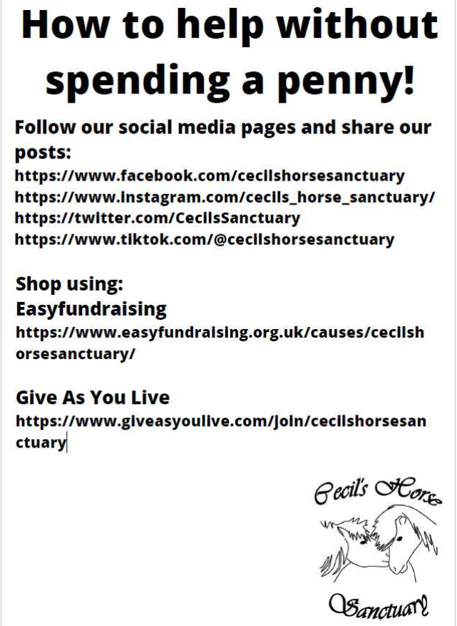 Why not:
Follow our social media pages & share our posts:
facebook.com/cecilshorsesan…
instagram.com/cecils_horse_s…
twitter.com/CecilsSanctuary
Shop through:
Easyfundraising
easyfundraising.org.uk/causes/cecilsh…
Give As You Live
giveasyoulive.com/join/cecilshor…
#ponyhour #charity #Horses