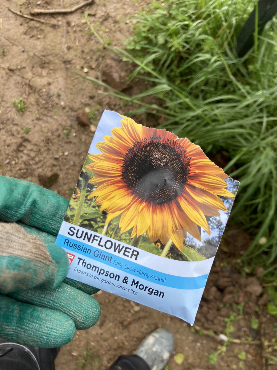 Richard Reynolds tweet media