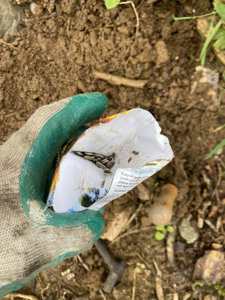 Richard Reynolds tweet media