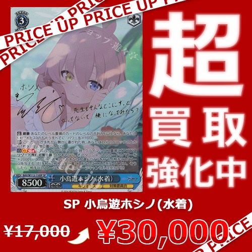 【A】お支払い用 対策委員会 ホシノ SP ヴァイスシュヴァルツ ブルーアーカイブ