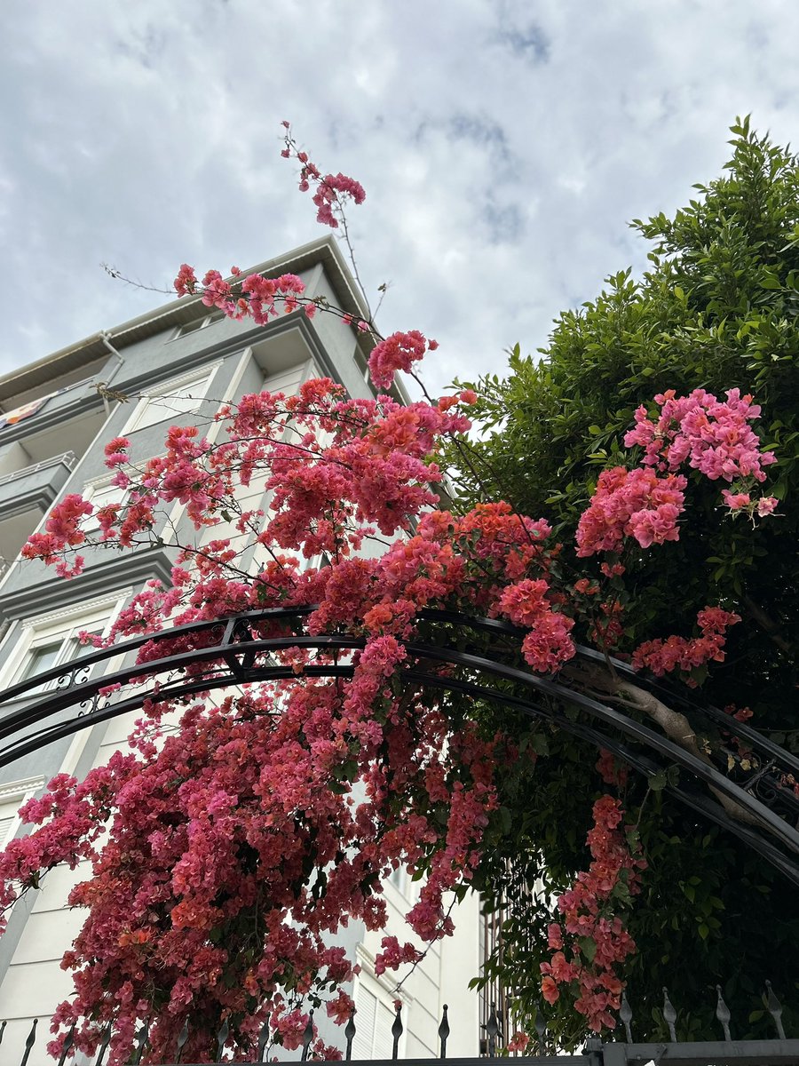 (Herşeyi  önce rabbimden sonra da onun ömrümüze yazdığı günlere niyet ederim 💌) Umarım mayıs ayında ayağımız iyiliklere takılır güzelliklere düşeriz 🪷🎊🎉🎀💐💘