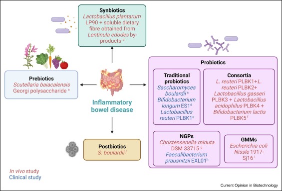 Review! From a themed issue on Food Biotechnology published in Current Opinion in Biotechnology 📑Overview on biotics development ✍️ Edited by Christoph Wittmann and Ken-ichi Yoshida Full paper 🔽 sciencedirect.com/science/articl…