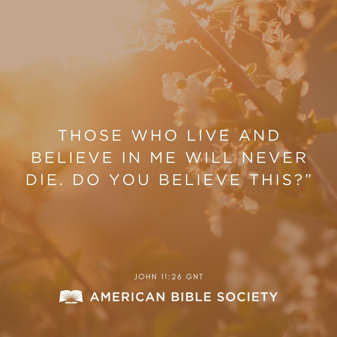 'Those who live and believe in me will never die. Do you believe this?” —John 11:26 GNT #VerseOfTheDay