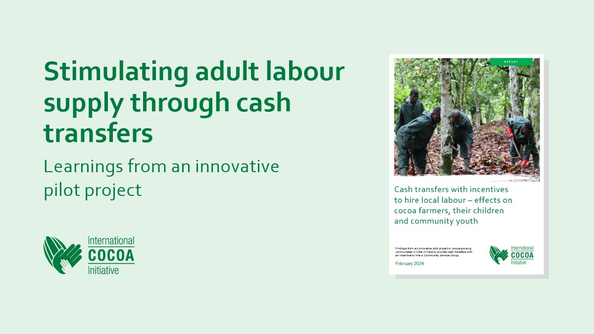 💡New ICI learning report shows how cash transfers can increase amount of adult labourers & tackle child labour in cocoa communities. Explore the findings of an innovative pilot implemented in Côte d’Ivoire: bit.ly/4aTOnTB #CashTransfer #ChildLabour #Research #Learning