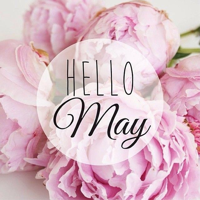 Well Hello there May!!!! Happy wedding month to all the lovely couples saying 'I Do' this month 💕 weddingvenueoffers.co.uk #maywedding #springwedding #2024wedding #ukweddingvenues #weddingvenueoffers #weddingplanning