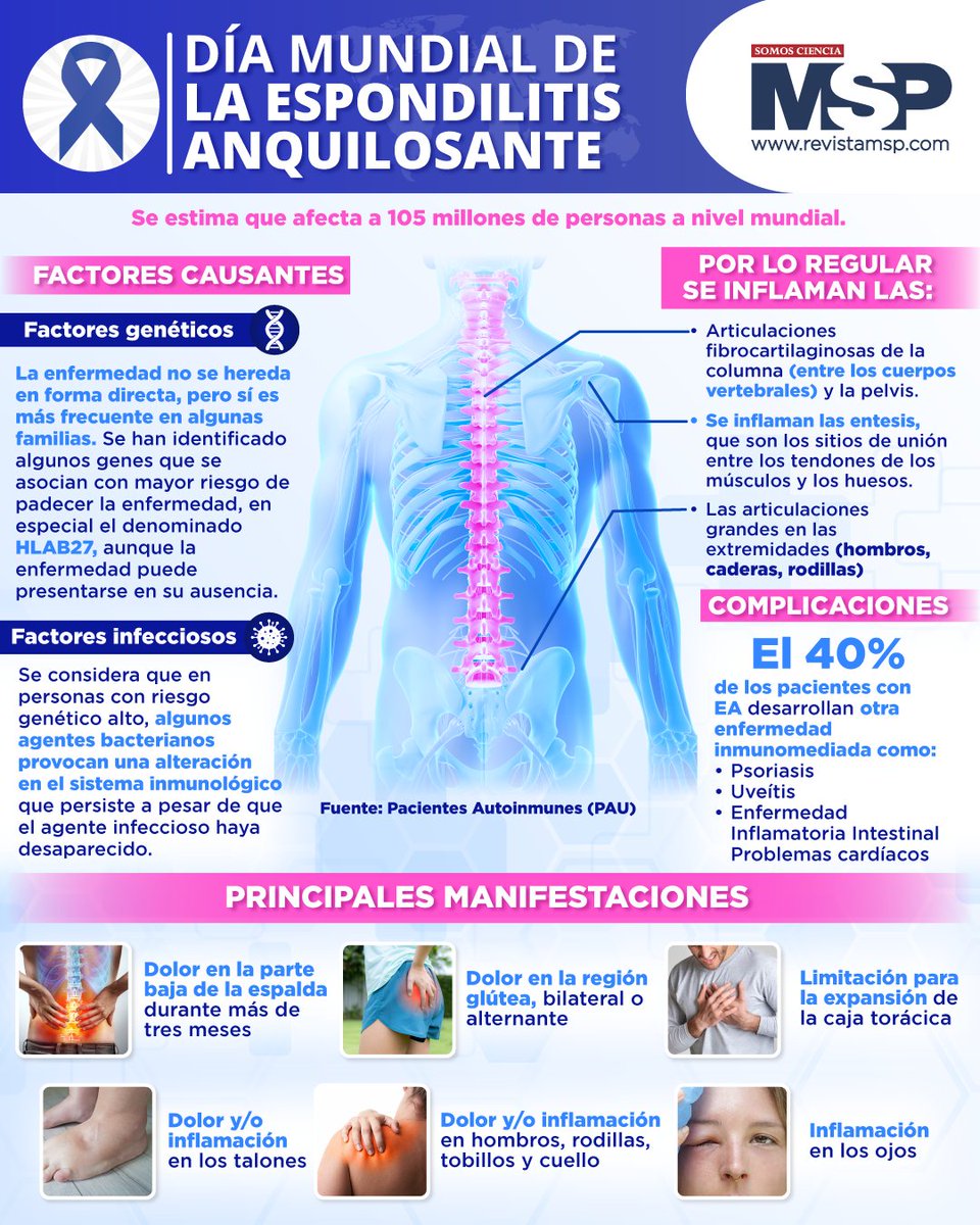 Revista MSP tweet media