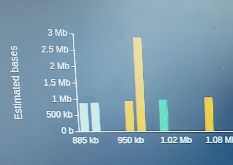 Taco Jesse (@tjesse62) on Twitter photo 💥BREAKING💥
Possibly the FIRST
BrownBean One MILLION bp
🧬 HIGH DUPLEX read 🧬
In West-Brabant !
Thank you <a href="/LongReadMaster/">TheLongReadMaster</a> !
Thank you <a href="/nanopore/">Oxford Nanopore</a> !
Thank you <a href="/LongRangeGenes/">The Long Range Legend</a> ! 💥BREAKING💥
Possibly the FIRST
BrownBean One MILLION bp
🧬 HIGH DUPLEX read 🧬
In West-Brabant !
Thank you <a href="/LongReadMaster/">TheLongReadMaster</a> !
Thank you <a href="/nanopore/">Oxford Nanopore</a> !
Thank you <a href="/LongRangeGenes/">The Long Range Legend</a> !