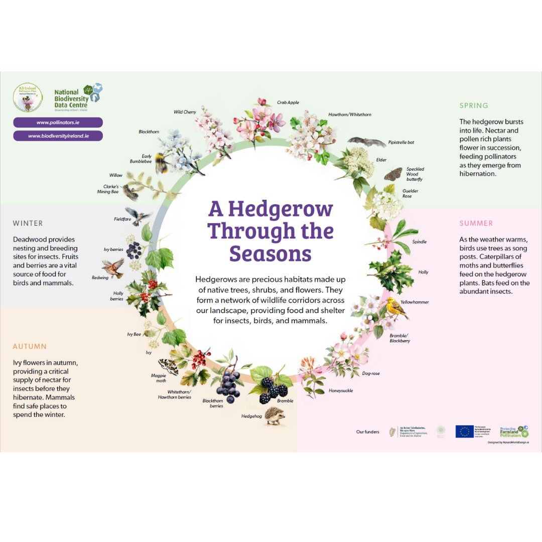 We’re delighted to launch this year’s 'Festival of Farmland Biodiversity' with a new resource 

'A Hedgerow Through the Seasons' bit.ly/3Uj1hU9

To take part:
- Share photos of wonderful native hedgerows
- Join a hedge/farm walk

Find out more ⬇️
bit.ly/44mFdfO