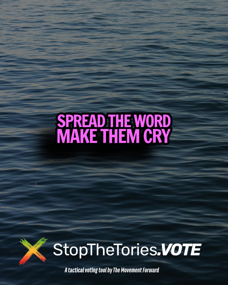 Vote against sewage in our waters Vote against corruption Vote against culture wars Vote anti-Tory Vote tactically this Thursday