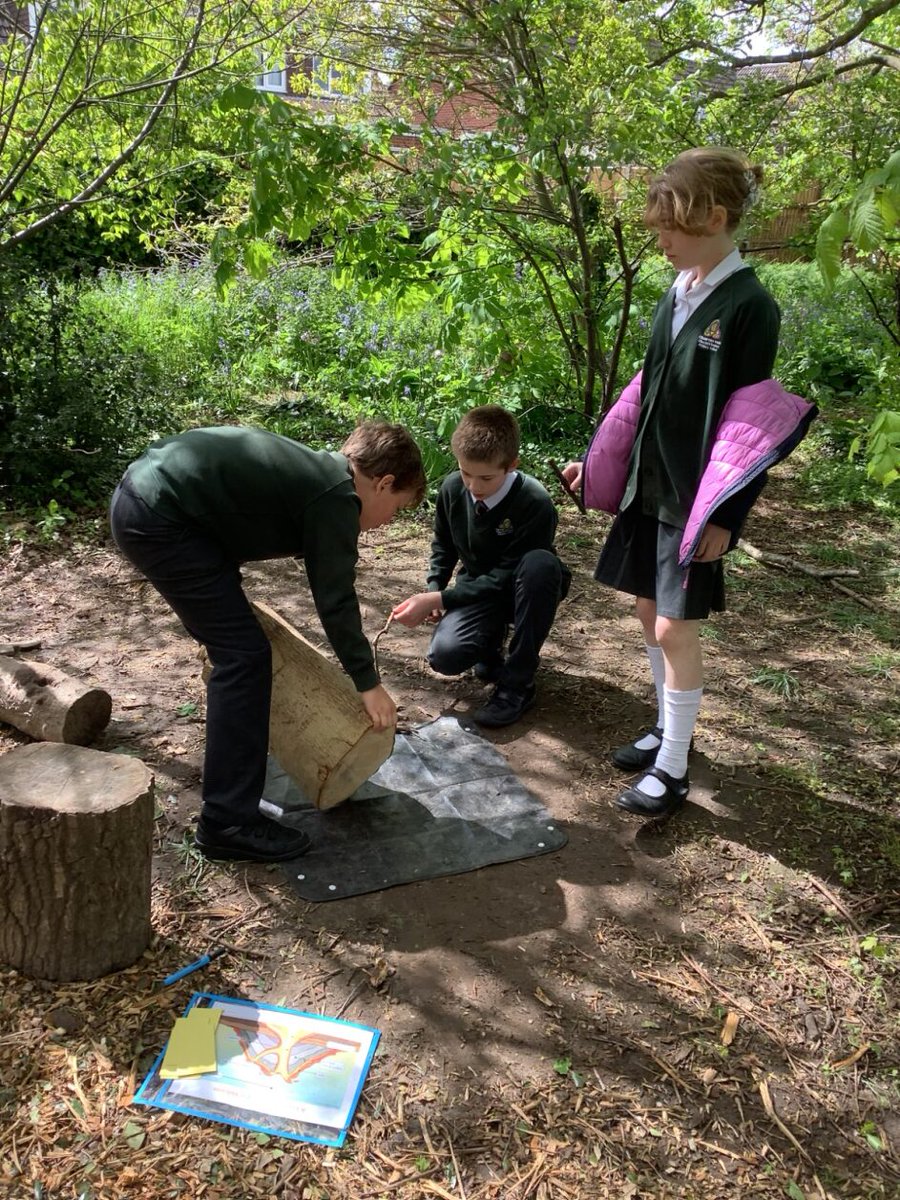 #Year6 had fun making and labelling a cross section of a volcano using natural resources. There was also time to inspect our new pond project whilst it's being created!

#projectpond #forestschool #geographyisfun
