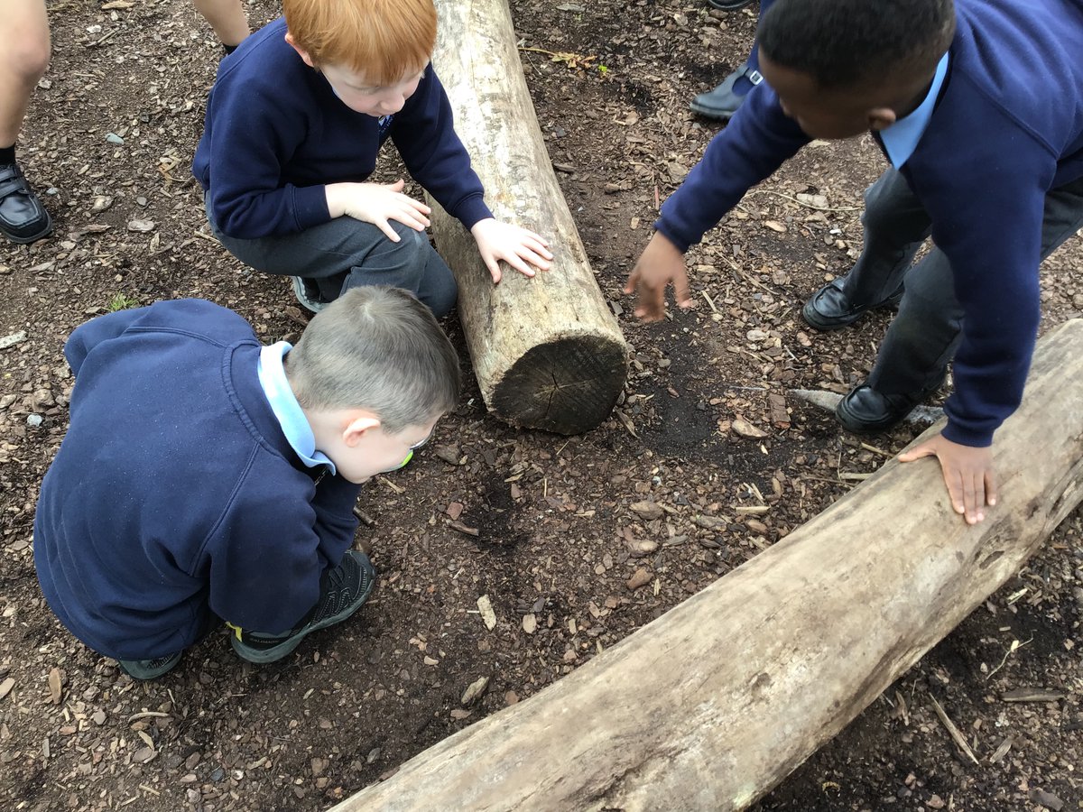 Year 2 enjoyed exploring different micro habitats in our playground. 🐞🐛🦟