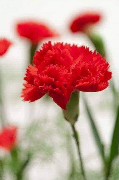 FILLEA CGIL MODENA tweet media