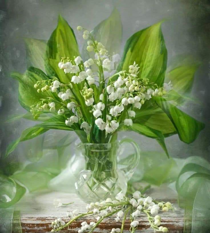 Petits brins de bonheur pour vous souhaiter un très bon 1er mai. 😘