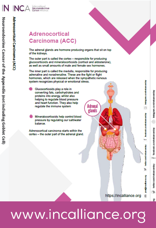 Functioning #AdrenocorticalCarcinoma (#ACC) can present with common symptoms like high blood sugar levels and high blood pressure. We support HCPs to know about ACC for early detection with #NETInfo in 11 languages: incalliance.org/net-info-packs/ #LetsTalkAboutNETs #EndoTwitter #MedEd