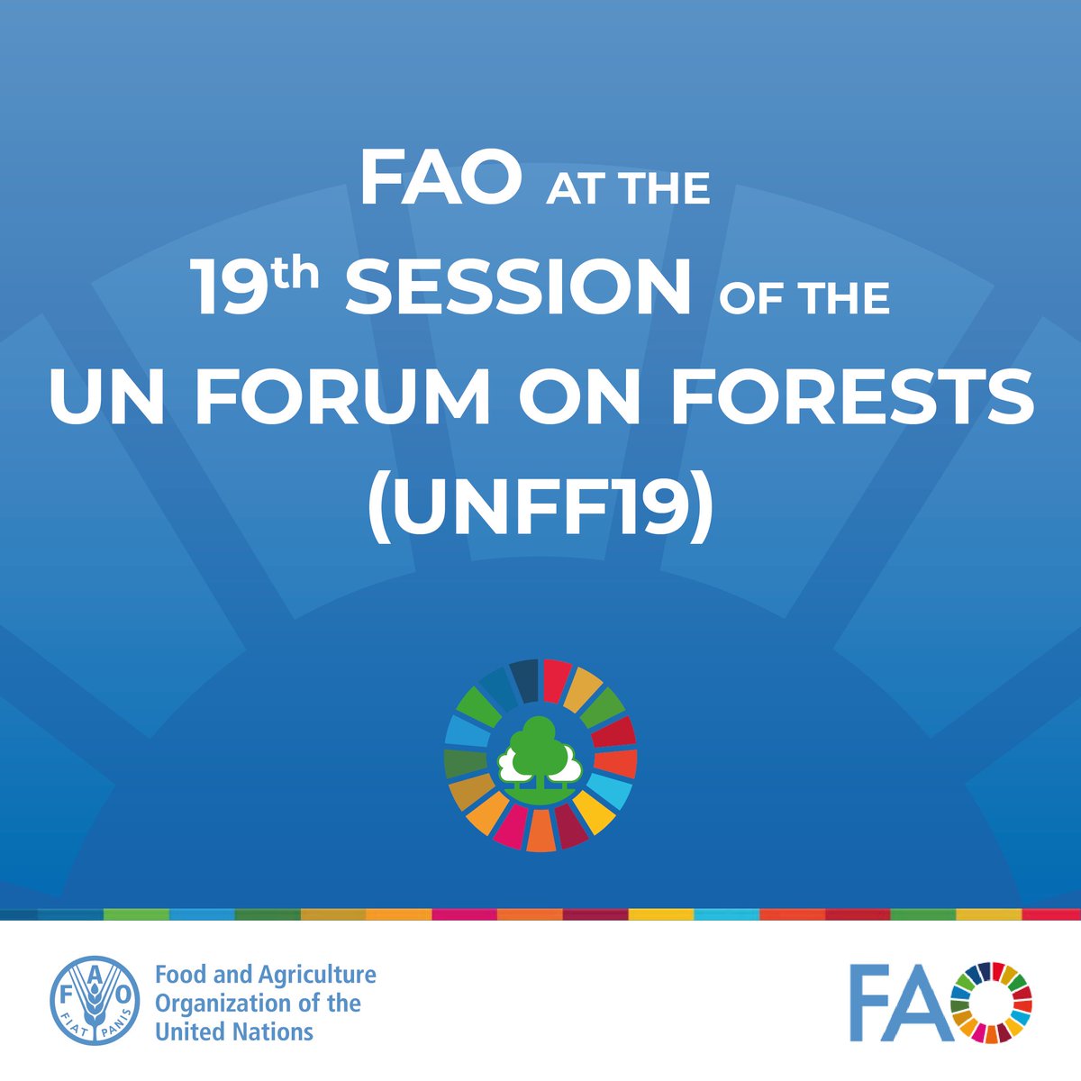 🌳<a href="/FAO/">Food and Agriculture Organization</a> &amp; the Collaborative Partnership on Forests will contribute to discussions on how to achieve the six #GlobalForestGoals by 2030 at the 19th Session of the United Nations Forum on Forests next week.

Find out more 👉 bit.ly/3UkAoPK

#UNFF19 #CPForests

<a href="/FAONewYork/">FAO in New York</a>