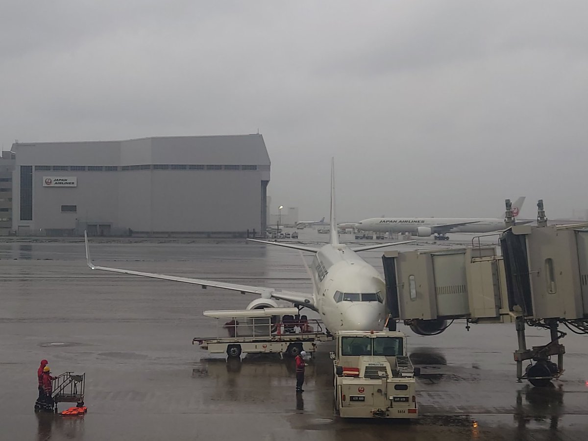Noru_Mix's tweet photo. 10年振りに飛行機乗る*⋆✈︎
(高知帰ります) https://t.co/WWGOKQu6ng