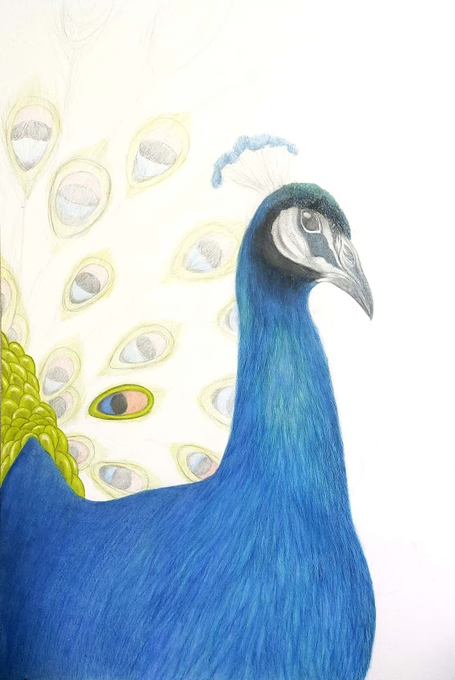 「beak solo」 illustration images(Latest)