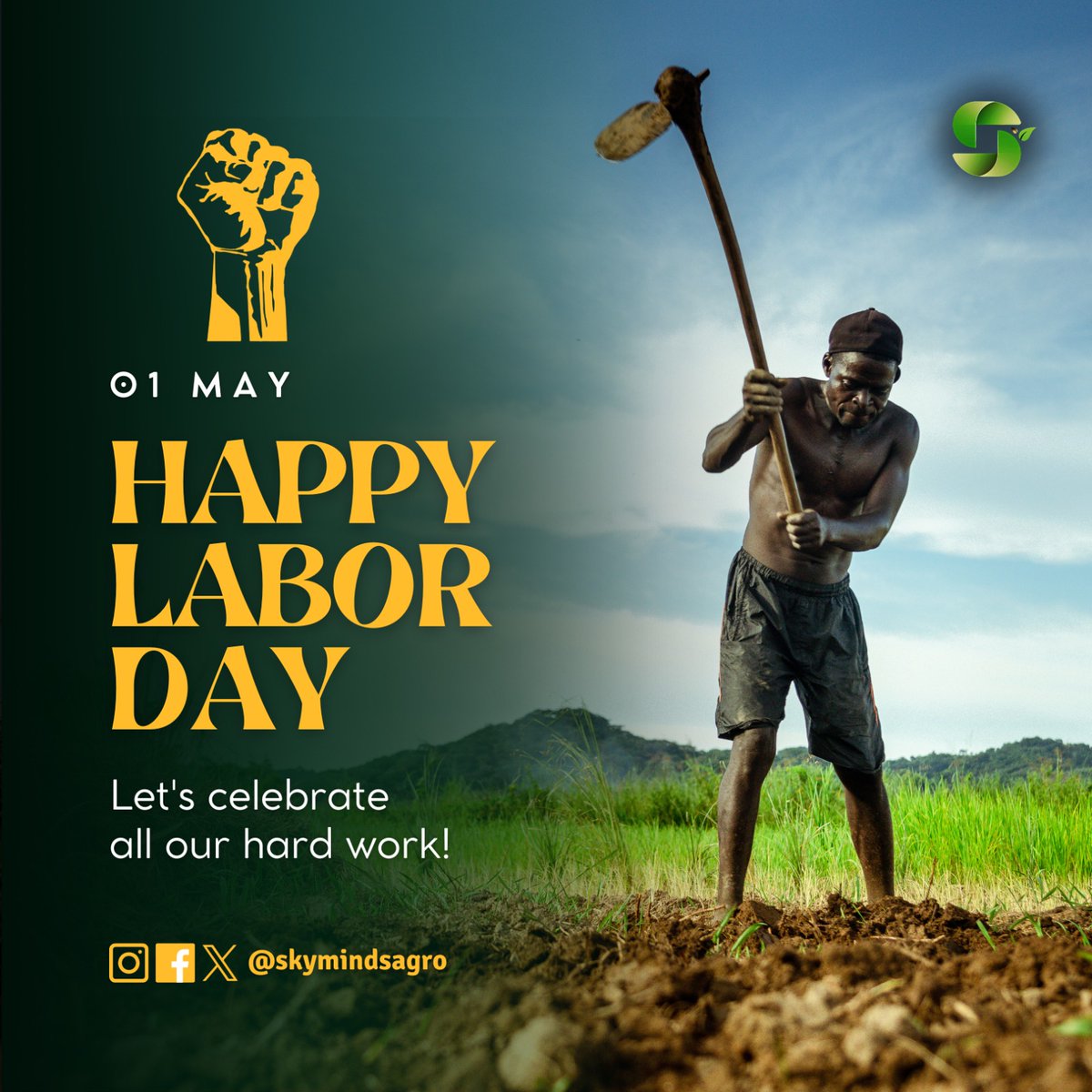Skymindsagro's tweet photo. Genius begins great works,
Labour alone finishes them.

Celebrating all hardwork Nationwide. 💚 https://t.co/19B0keaKGO