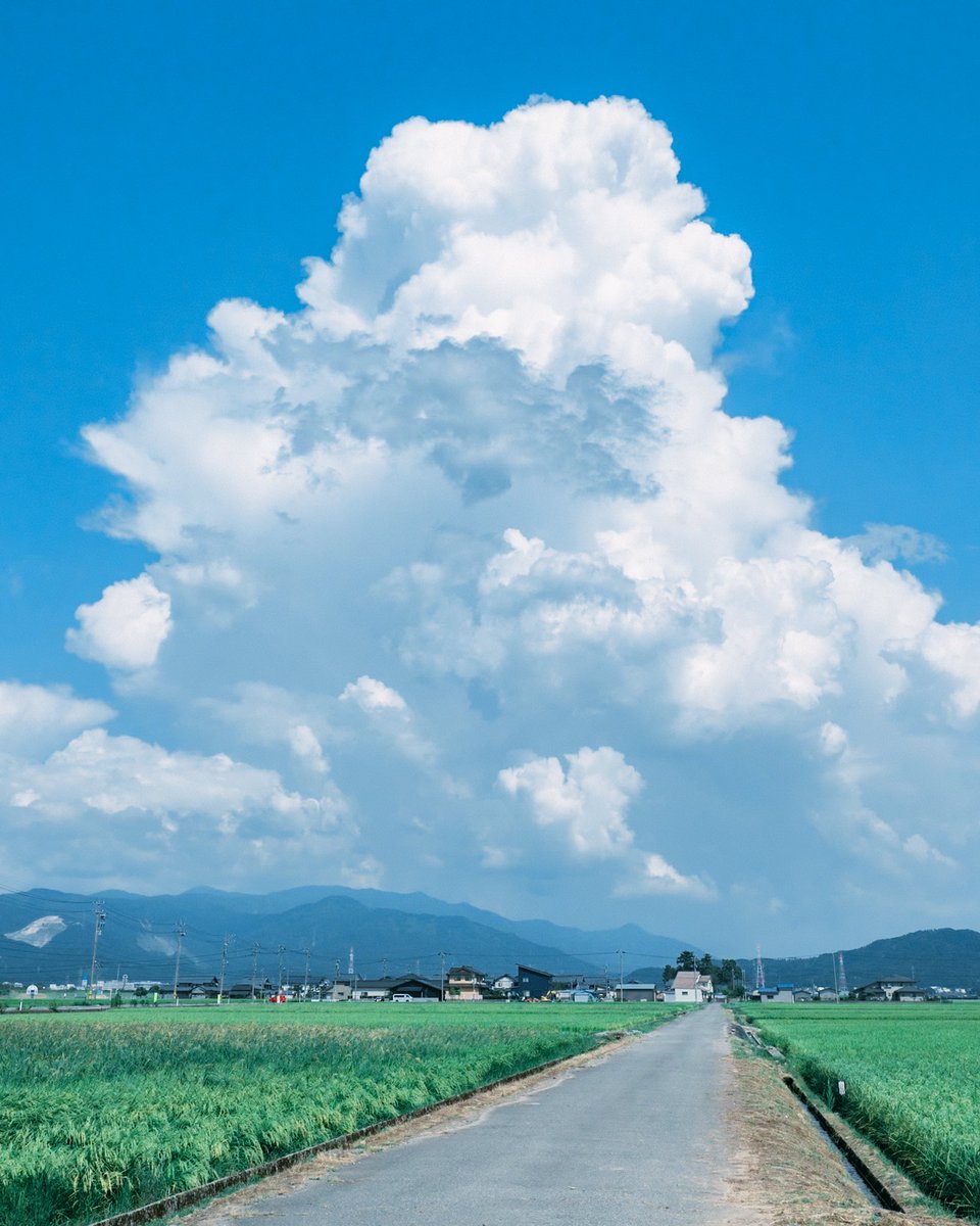 夏へと続く道