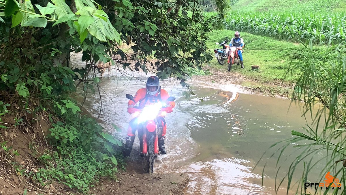 Whether wet weather motorcycling is fun or not depends on your perspective. ☔️

💻 vietnamoffroad.com

#vietnam #xuhuong2024 #trending2024 #motorbike #motorcycle #tour #rental #honda #XR150L #CRF250L #CRF300L #dualenduro #motocross #offroadvietnam #hire
