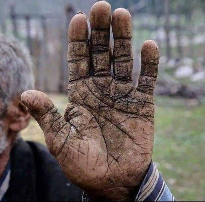 HamariZabanUrdu's tweet photo. زاہد کو اگر فخر ہے، سجدے کے نشان پر
مزدور کے چھالے بھی بڑے غور طلب ہیں

#مزدوروں_کا_عالمی_دن https://t.co/KFJUfCxm65