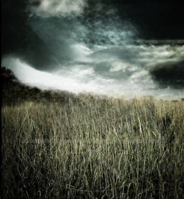 nachlassigkeit's tweet image. eu quero te beijar bem aqui