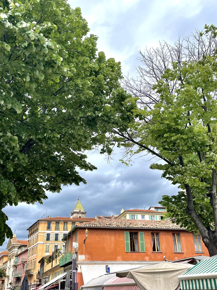 Bon #1erMai 🌿☁️ #Nice06