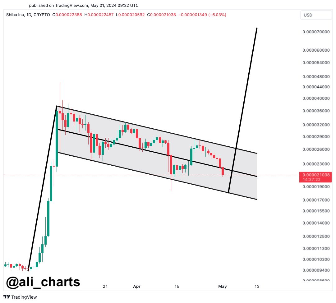 Shiba Inu Bull Flag