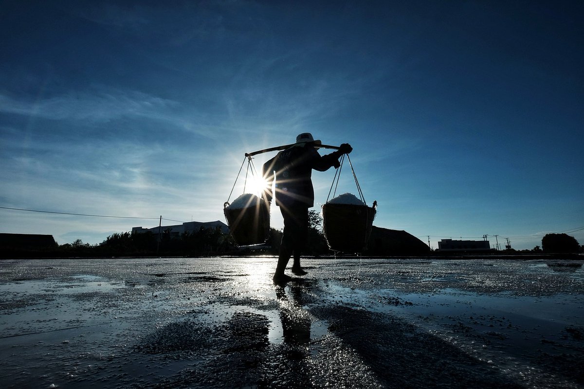 showkatrather's tweet photo. On this International Workers' Day, let’s honor the contributions of every worker, in every part of the world—working across all levels. A big thanks to the millions of smallholder farmers and all involved in the food value chain for their critical role in bringing food to our tables. Also, a big shout-out to all blue-collar workers who tirelessly contribute to the development of our homes, societies, and countries.

#InternationalWorkersDay #LabourDay #LabourDay2024 @ilo #MayDay2024 #MayDay