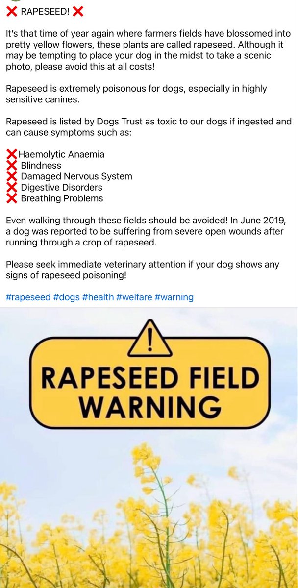 Kermode_Ursus's tweet image. 