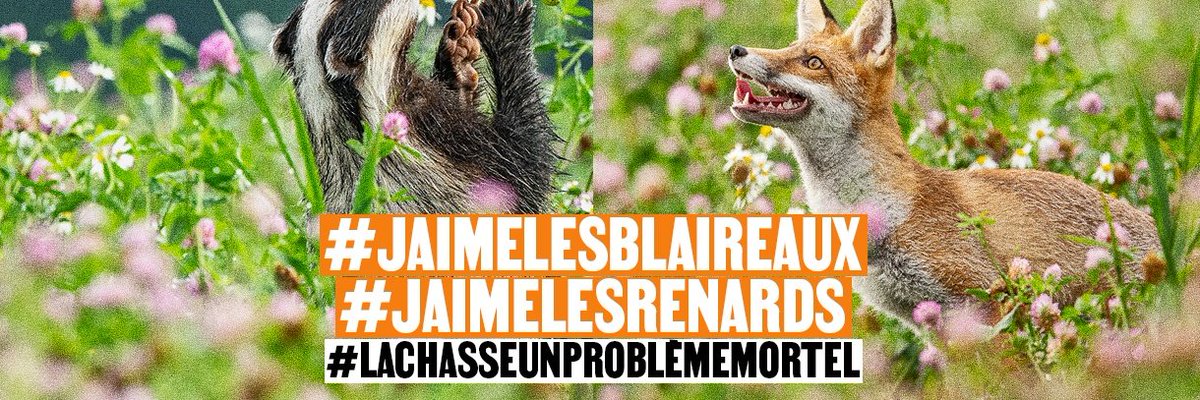 Contre la cruelle chasse vénerie sous terre @onevoiceanimal