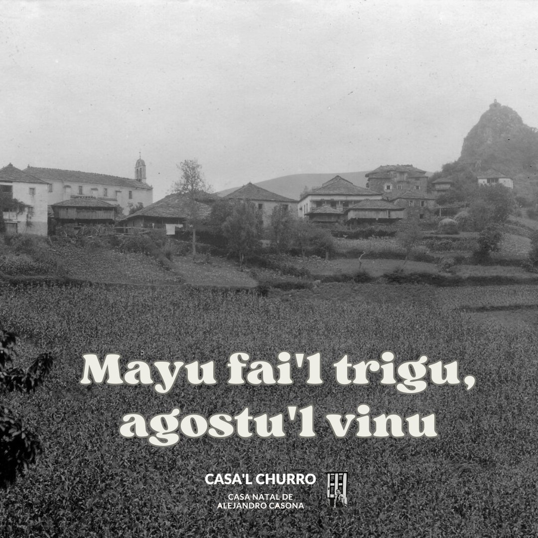 Llega mayo, y con él el refranero asturiano dedicado al calendario agrario sigue su curso en #Asturias
#CasalChurro #Besullo #Bisuyu #AlejandroCasona #trigo #vino #CangasdelNarcea #Asturies 🌾🍇