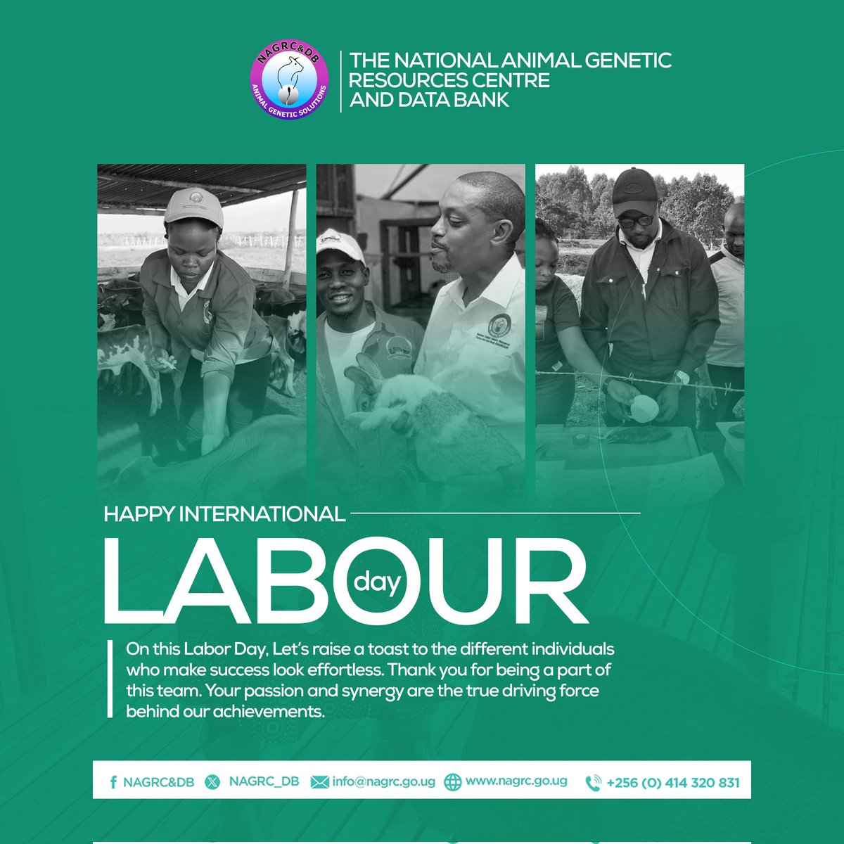 #InternationalLabourDay2024
@NAGRC_DB honours the hardwork and dedication every individual makes towards our success and achievements.

@FrankTumwebazek @DrRwamiramaBK @beinepeter @PS_MAAIF