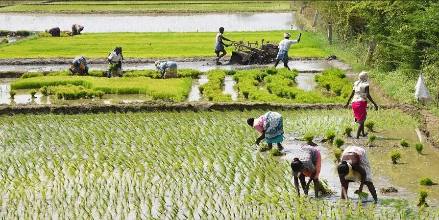 Happy #LabourDay2024 to all, especially those in agrifood production! Your hard work and dedication nourish our communities and sustain our world. Today, we honor your tireless efforts to cultivate, harvest, and provide the food that fuels our lives. #SEVENTEEN_IS_MAESTRO 🔃🔃