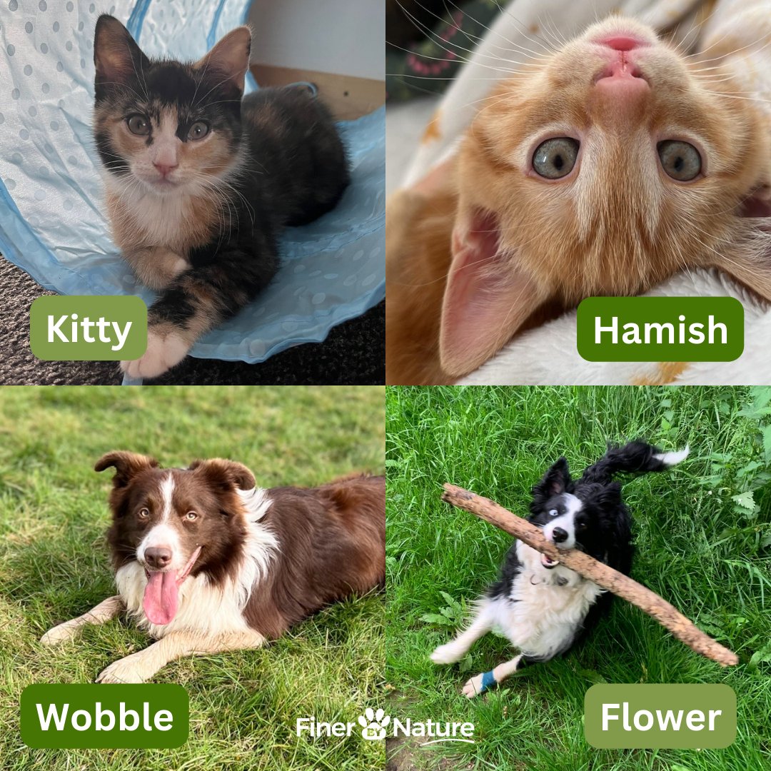 Meet the pets behind Finer by Nature! 🐶🐱🐹
We're head over paws for our animal companions, so we know your pets deserves nothing but the best. That's why all of our raw food and treats are made from quality human-grade ingredients, with no fillers or hidden nasties 🐾