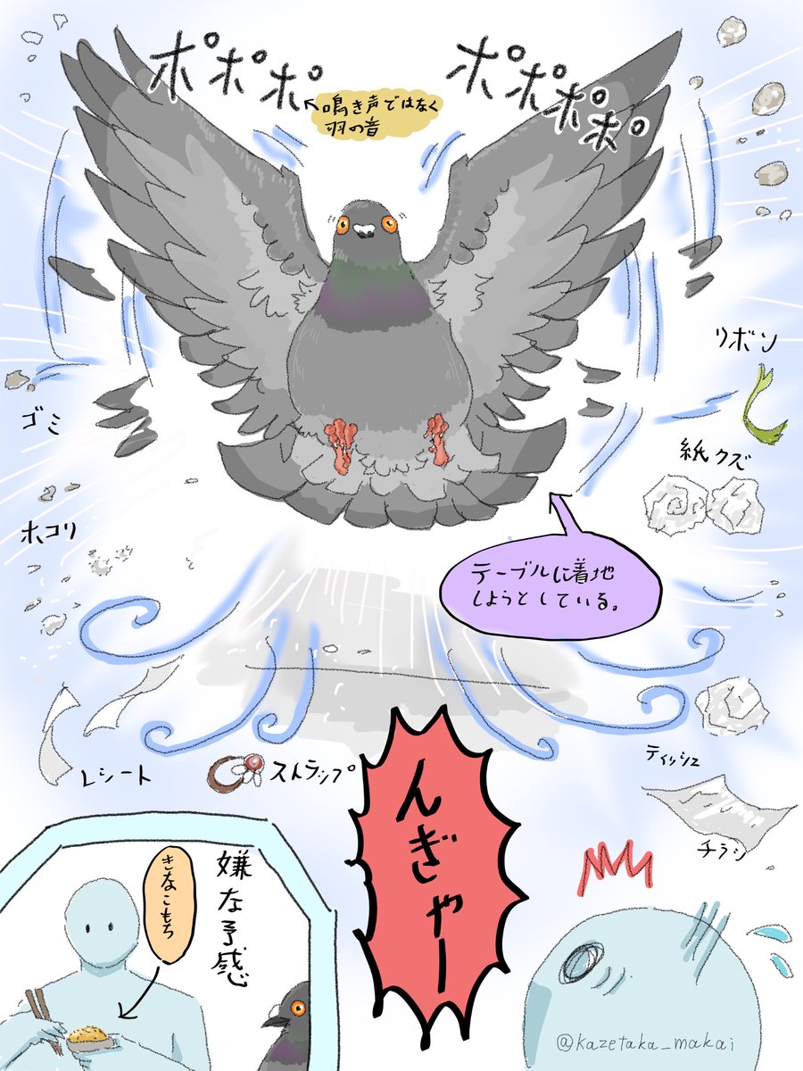 レース鳩｜種鳩紹介｜中距離系1｜山形のモアクロフト