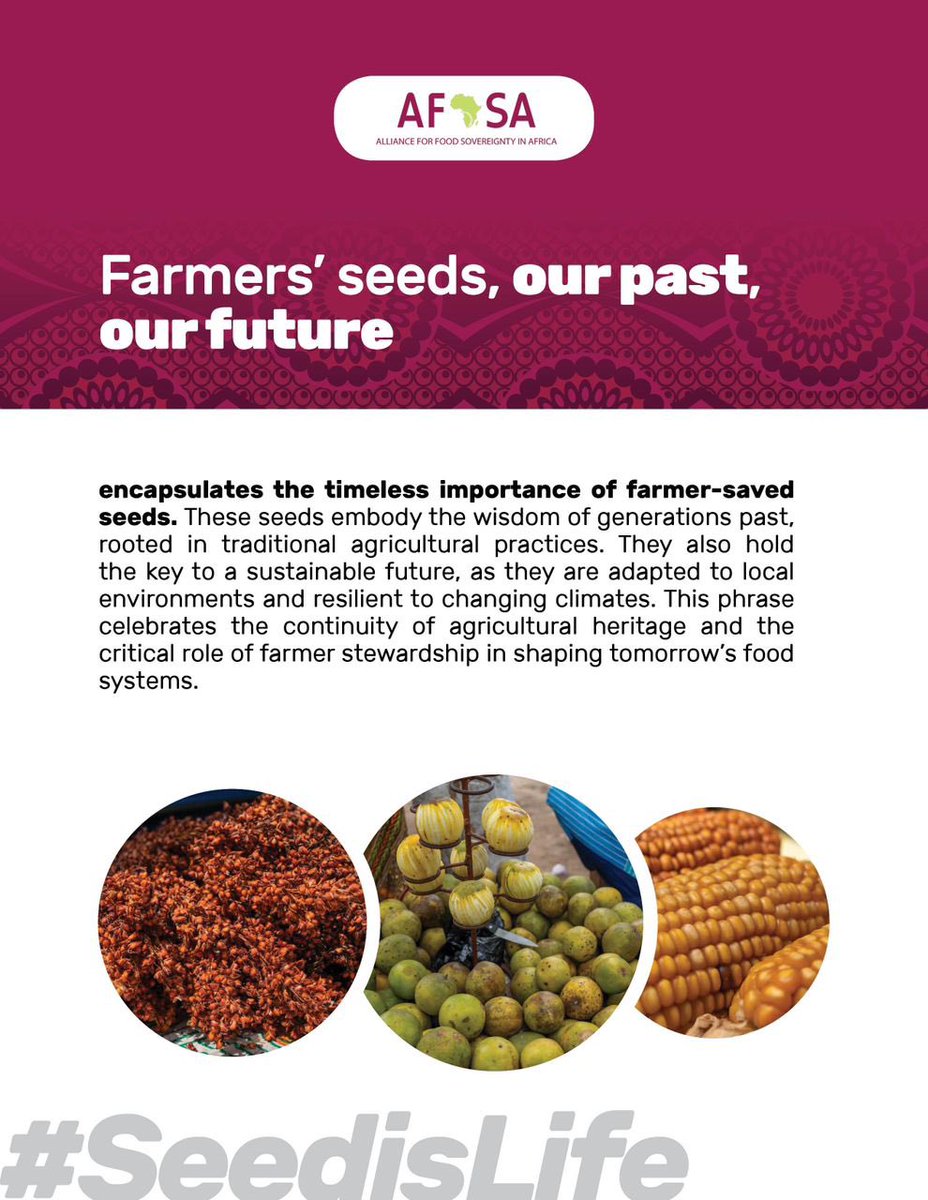 seeds embody the wisdom of generations past, rooted in traditional agricultural practices and hold the key to a sustainable future, as they are adapted to local environments and resilient to changing climates. #SeedIsLife
#MaSemenceMaVie
#InternationalSeedsDay