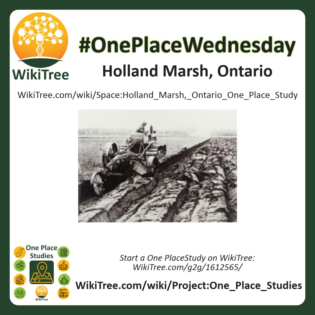 #OnePlaceWednesday Holland Marsh, Ontario wikitree.com/wiki/Space:Hol… #OnePlaceStudy #Genealogy #CollaborativeGenealogy