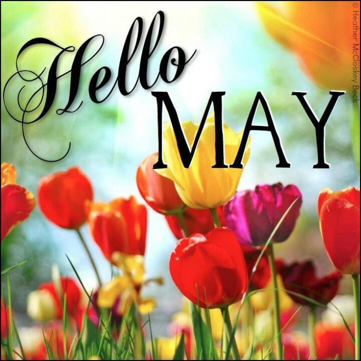 HELLO MAY & GOOD MORNING ALL! May this month be prosperous & peaceful for you and YOURS! #May #Thespotlight #Celebrityspotlight