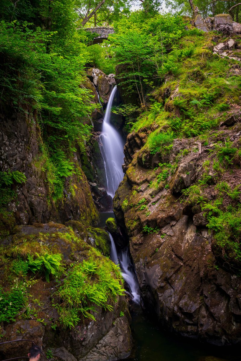 This week's suggested walk is to the National Trust's Aira Force which drops an impressive 65ft. It is the perfect place for a family walk. Look out for red squirrels along the way! orlo.uk/MI2AQ #WalkWednesday