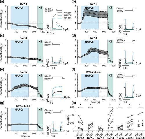 A triple cysteine motif as major determinant of the modulation of neuronal KV7 #Ionchannels by the paracetamol metabolite N‐acetyl‐p‐benzo quinone imine - Ray - British Journal of Pharmacology @BrJPharmacol
 buff.ly/3y5QMMg